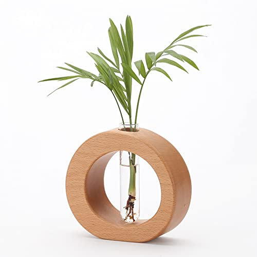 YXSH Glas Pflanzer Vermehrungsstationen Desktop Vase Reagenzglas Vase Mit Holzständer Terrarium Hydroponik Indoor Home Office Decor