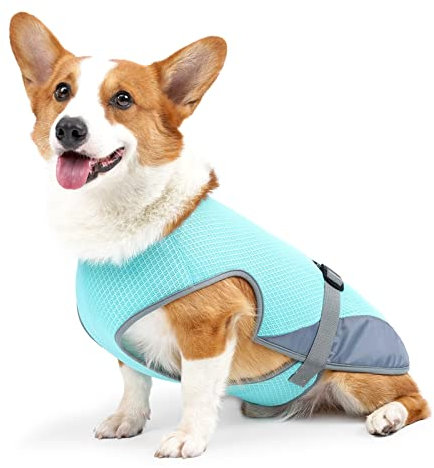 Hundekühlweste,Haustier Kühlweste,Atmungsaktives Mesh Hundejacke für mittlere und große Hunderassen,Verstellbare Hund Kühlweste Blau für Aktivitäten draußen, Wandern,Training (Blau-L)
