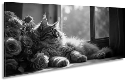 WTD - Stampa su tela con immagine panoramica, 120 x 60 cm, in bianco e nero, XXL, immagine su telaio, decorazione da parete o soggiorno