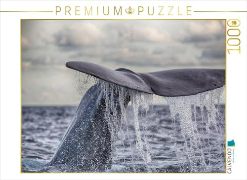 CALVENDO Puzzle Pottwal vor dem Tauchgang | 1000 Teile Lege-Größe 64 x 48 cm Foto-Puzzle für glückliche Stunden