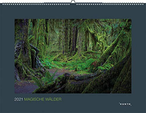 Magische Wälder - Kalender 2021 - Kunth-Verlag - Wandkalender mit faszinierenden Aufnahmen - 60 cm x 45 cm