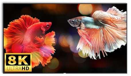 WUPRO Fresnel Peacock Evo Écran de Projection ALR 8K pour projecteurs UST (100)