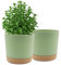 QCQHDU Lot de 2 Pots de Plantes 25.4cm, Pots pour Plantes d'intérieur avec Trous de Drainage et Base Amovible, Soucoupe décorative Moderne pour jardinières d'extérieur (Vert 25.4cm)
