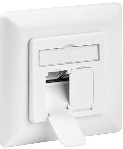 WireThinX CAT 6a Unterputzdose (UP), 2X RJ45 Netzwerkdose geschirmt Weiß