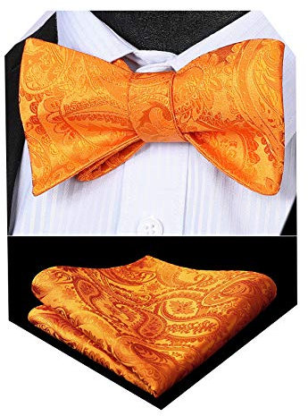 HISDERN Fliege Herren Set Orange Fliegen mit Einstecktuch Formale Klassische Paisley Verstellbar für Bräutigam Hochzeit Party Fasching