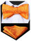 HISDERN Fliege Herren Set Orange Fliegen mit Einstecktuch Formale Klassische Paisley Verstellbar für Bräutigam Hochzeit Party Fasching