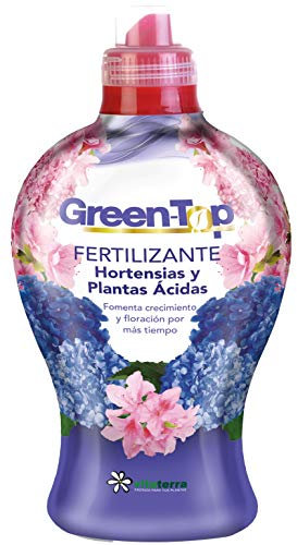 Vitaterra GreenTop Hortensias y Plantas Ácidas 1l