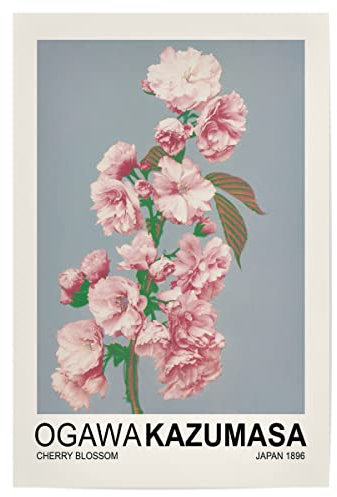 artboxONE Poster 120x80 cm Natur Kirschblüte - Ogawa Kazumasa - Bild blume blume blumen