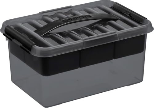 Sunware Aufbewahrungsbox Q-Line 6 L rauchgrau 30 x 20 x 14 cm (L x B x H) Box