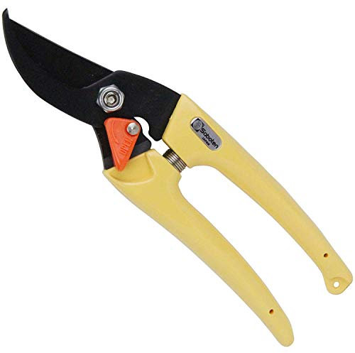 Mesdames cactus s?cateur jaune (japon importation)