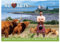 Lang Syne We Love Men In Kilts Großer Wandkalender 2025