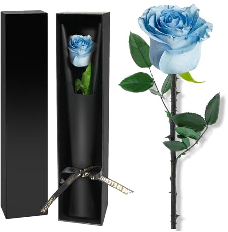 CubePlug Cadeau de la Saint-Valentin, Rose Réelle Éternelle avec Tige - Cadeaux de Roses Préservées Parfaits pour Femmes, Maman, Grand-mère | Idéal pour Anniversaire, Noël, Saint-Valentin (Bleu)