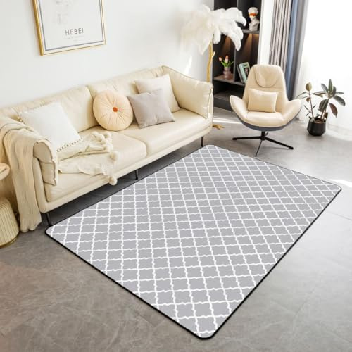 Homemissing Abstract Geometrisch Teppich 100x150cm Grau Weiß Stripes Outdoor Teppich Modern Gestreift Art Super Weich Küchenteppich Wohnzimmerteppich