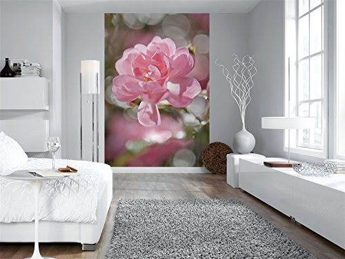 Komar Fototapete BOUQUET | 184 x 254 cm | Tapete, Wand, Dekoration, Wandbelag, Wandbild, Wanddeko, Blume, Rose, Rosa | 4-713