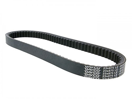 Dayco 8113K Power Plus Keilriemen Kevlar Verstärkt, L875 X B23.0