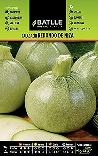 Semillas Batlle Graine pour courgettes Rond de Nice