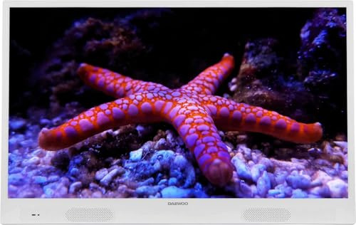 Daewoo TV LED 82cm sur Batterie Blanc - 32DMD22HW