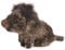 HANSA - Plüschtier Wildschwein, sitzend, 14 cm H/18 cm L