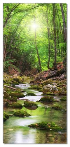 posterdepot Türtapete Türposter Fluss im Wald durch moosbedeckte Steine - Größe 93 x 205 cm, 1 Stück, ktt0413