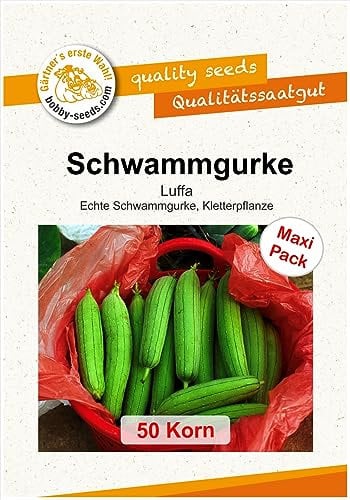 Ziergurkensamen Luffa cylindrica Schwammgurke 50 Korn