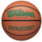 Wilson Evolution Indoor Game Basketball, grün, Größe 15,2-72,4 cm