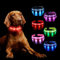 MASBRILL Hundehalsband Leuchtend Aufladbar, Leuchthalsband Hund 7 RGB Farbwechsel mit 8 Leuchtmodi, LED für Kleine Mittlere Große Hunde Leuchtendes Halsband, Rot S