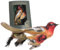 Krebs Glas Lauscha - Weihnachstdekoration/Christbaumschmuck aus Glas - Glasvogel - Motiv: Doppelvogel Stieglitz mit Echtfedern - Farbe: Rot - Größe: 7 cm - Made in Germany