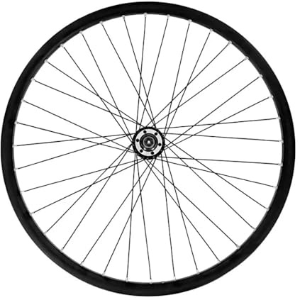 Ruota Anteriore 29 MTB Freni a Disco Mozzo su Cuscinetti