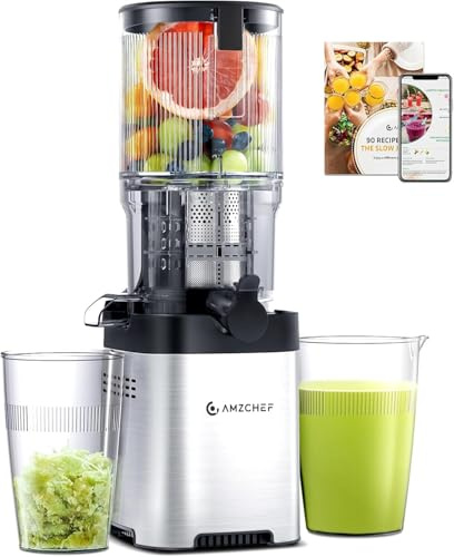 AMZCHEF Cold Press Juicer Machines - Slow Masticating Juicer with 145mm Large Feed Chute, Whole Fruit & Vegetable Juice Maker, Easy Clean, Triple Filter - Stainless Steel