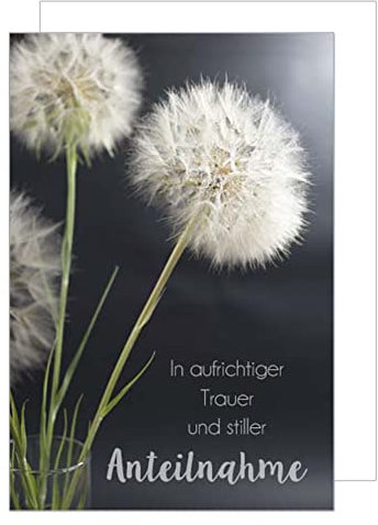 Edition Seidel Premium Trauerkarte mit Umschlag. Beileidskarte Trauer Karte herzliches Beileid Pusteblume Abschied stille Anteilnahme Teilnahme Mitgefühl (T961 SW022)