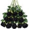 Tifuly Rosen Künstliche Blumen 12 Pcs Seide Künstliche Rose Blumen Gefälschte Blumen für Brautstrauss Haus Hochzeits Party Deko DIY(Schwarz)