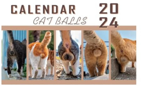 Wdesrgt Cats Butt Kalender 2024 bringt und Persönlichkeit in Ihre , langlebig, einfach zu bedienen, ca. 29 x 21 cm