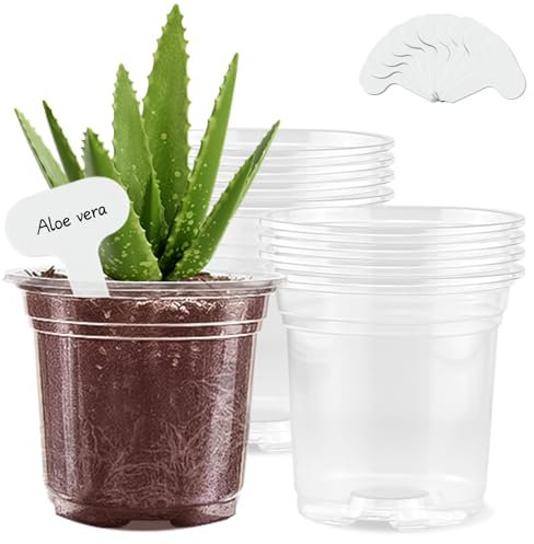 SupKing Blumentopf, Plastiktopf für Pflanzen, 15,2 cm, 8 Stück