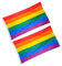 CIYODO Drapeau Arc-en-ciel Lgbt De 90 X 150 Cm Grand Format Accessoires Pour Gay Et Lesbienne En Polyester Robuste 90 X 150 Cm
