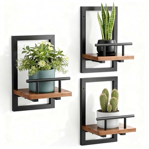 Sbosbo bosbo Floating Shelves for Wall, Plant Shelf Indoor, Wall Planters for Indoor Floating Plant Shelves for Bedroom, Living Room, Kitchen, Office, Bathroom Decor (3 Pack)