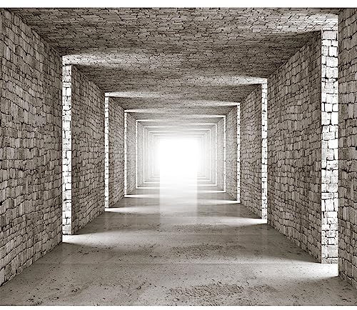murando - Vlies Fototapete 3D Tunnel 350x256cm Foto Tapete Schlafzimmer Wohnzimmer Vliestapete XXL Motivtapeten Bildtapete 3d Effekt Wand Dekoration - Mauer Ziegeloptik Abstrakt d-B-0409-a-a