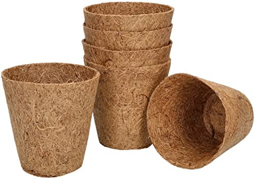 KOTARBAU® 6 x Maceta de coco, 8 x 8cm, 100% natural, Fibras de coco, Biodegradable, Macetas de cultivo, Forro de fibra vegetal, Tiestos ecológicos para plantas, hierbas y semillas, Inserto, 6 UNIDADES