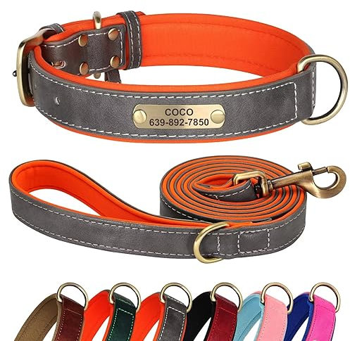 Didog Hundehalsband und Leine Set aus Leder für Kleine, Mittelgroße und Große Hunde - 1,5 m Weich Gepolsterte Hundeleine und Strapazierfähiges Halsband mit Gravur