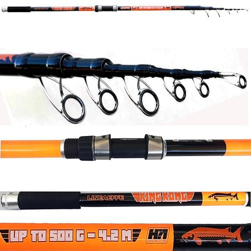 Canna Pesca Storione 4.20 Mt Lancio Max 500Gr Teleferica Mare Carbonio king Kong