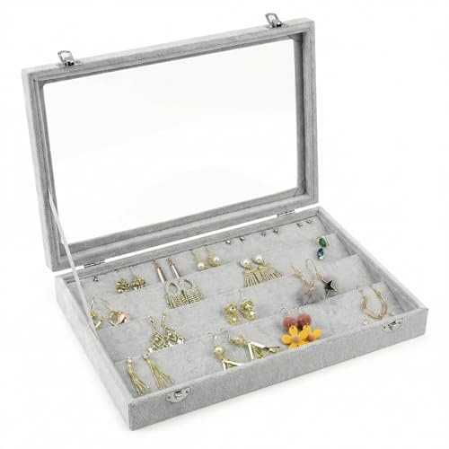 QWORK® Organizador de Pendientes de Terciopelo con Tapa Transparente, Vitrina de joyería con Cerradura para 40 Pares