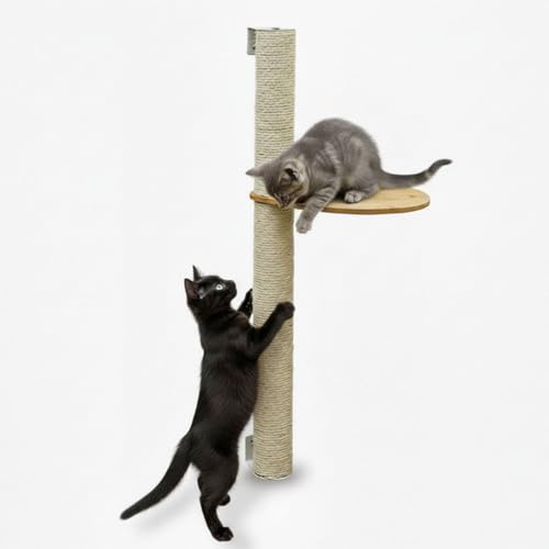 eyepower 96 cm Wandkratzbaum Luna mit Plateau zum Klettern - Kratzbaum Groß für Katzen - Kletterbaum mit Wandhalterung - Katzenbaum zur Wandmontage - Kletterwand Katze mit Kratzstamm Kratzsäule Wand