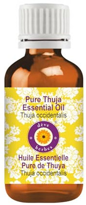 Deve Herbes Pure Thuja Essential Oil (Thuja occidentalis) Non-Sticky | Non-Greasy | Strong Woody Aroma | for Aromatherapy, Massage, Diffuser & Blends 15ml