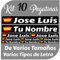 Kit 10 Pegatinas Vinilo Bandera España + tu Nombre - Bici, Casco, Pala De Padel, Monopatin, Coche, Moto, etc. Kit de Diez Vinilos (Pack Fuentes 1)