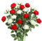 JUSTOYOU 20 PCS Künstliche Rosen,doppelte Farbe Seide blühende Rose mit Stiel, künstliche Rose Bouquet Realistische Blume für Home Table Office Party Hochzeit Garten Arrangements(Rot+Weiß)