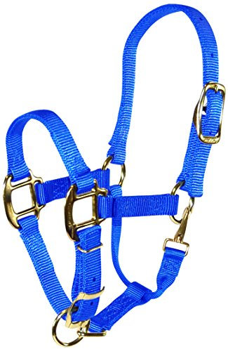 Hamilton Verstellbares Qualitäts-Halfter mit Druckknopf, 1,9 cm (3/4 Zoll), Blau