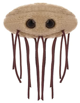 Peluche Microbe - L'E. coli