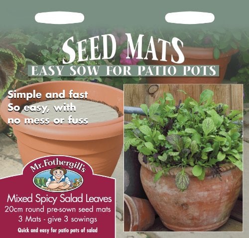 Mr Fothergill's 25559 Vegetable Seeds, MAT Mixed Spicy Salad Leaves