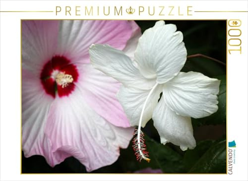 CALVENDO Puzzle Hibiscus Moscheutos und Hibiscus Swan Lake | 1000 Teile Lege-Größe 64 x 48 cm Foto-Puzzle für glückliche Stunden
