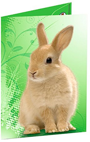 Ursus 5504005 - Sammelmappe mit Gummizug, Kaninchen grün, DIN A3, aus Dulplxkarton, ideal zum Aufbewahrung und Transportieren von Zeichnungen, Bildern und Unterlagen