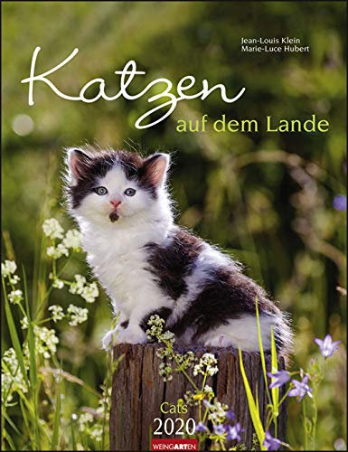 Katzen auf dem Lande - Kalender 2020 - Weingarten-Verlag - Jean-Louis Klein & Marie-Luce Hubert - Wandkalender mit Platz für Eintragungen - 30,0 cm x 39,0 cm